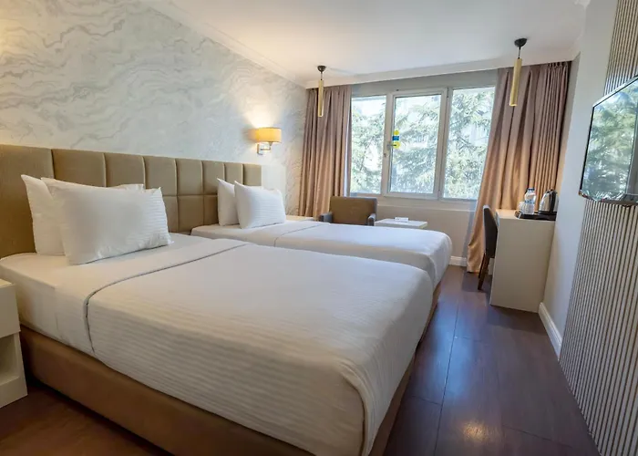 Dedeman Istanbul
